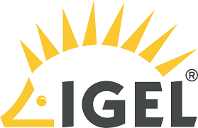 Igel Development Access SVC Idas