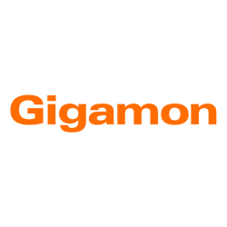 Gigamon Initial Gigamon Pass-Through Support TYP