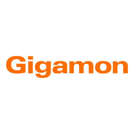 Gigamon Initial Gigamon Pass-Through Support TYP