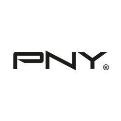 PNY Power Adapter For H100/6000Ada In Server