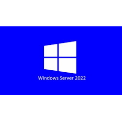 Microsoft Windows Server 2022 - License - 5 User CAL