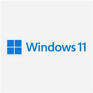 Microsoft Windows 11 Pro 64-bit - License - 1 License