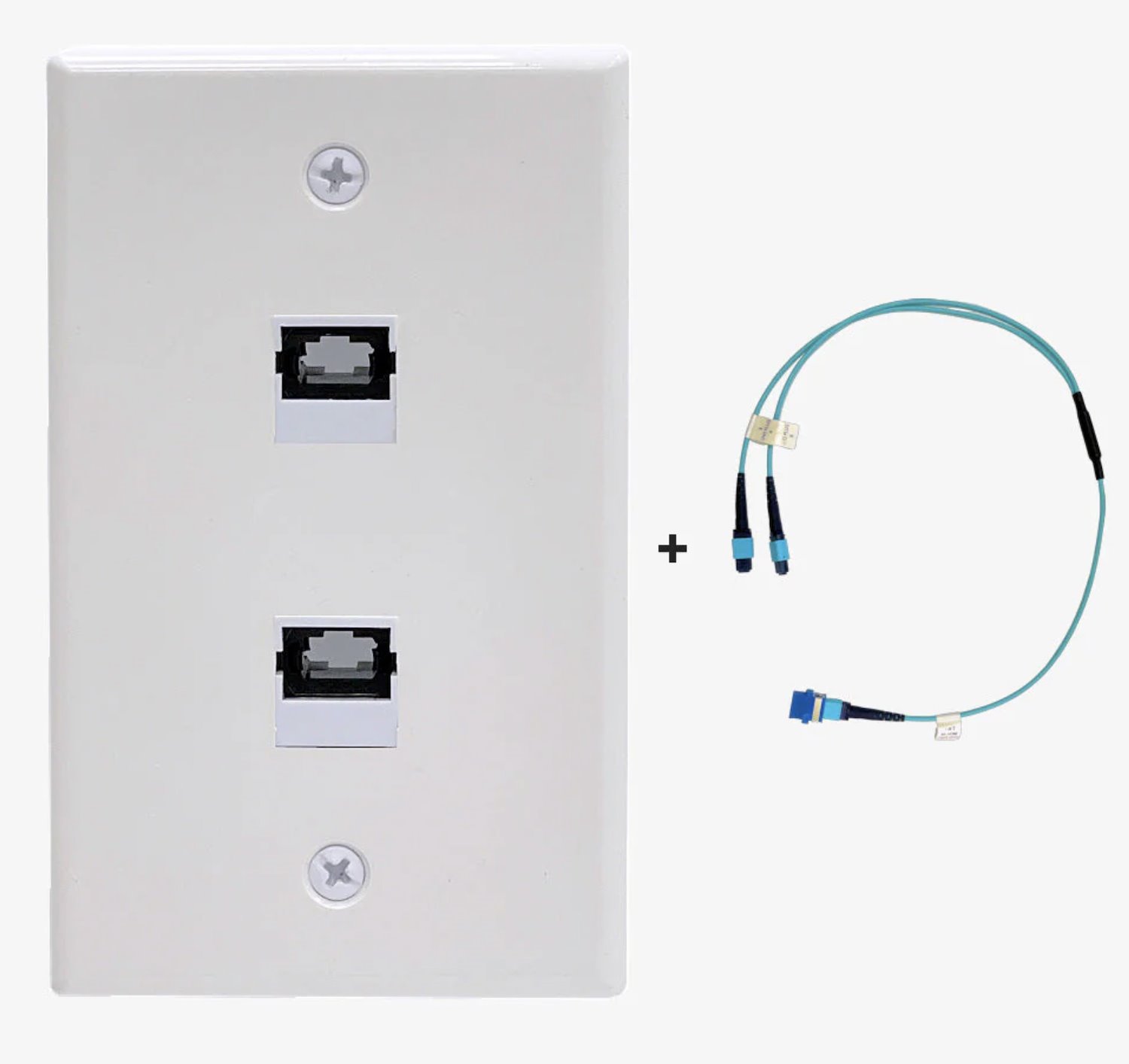 FiberCommand Fiberwallplate - WP10 | Two Mpo Connectors