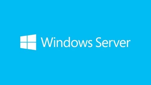 Microsoft Windows Server 2019 - License - 1 User CAL