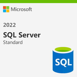 Microsoft SQL Server 2022 Standard Edition (Perpetual) [Commercial]