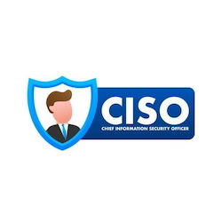 vCISO Services - 50+ End-Users